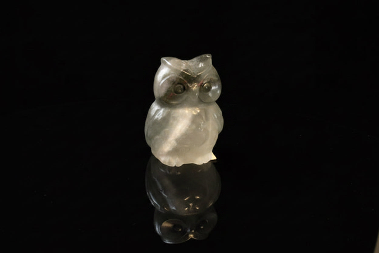 Crystal Owls Decor - Elegant and Unique Home Accents