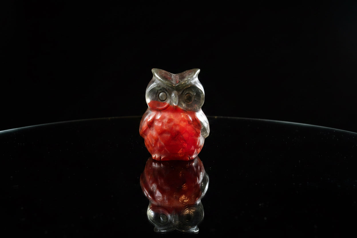Crystal Owls Decor - Elegant and Unique Home Accents