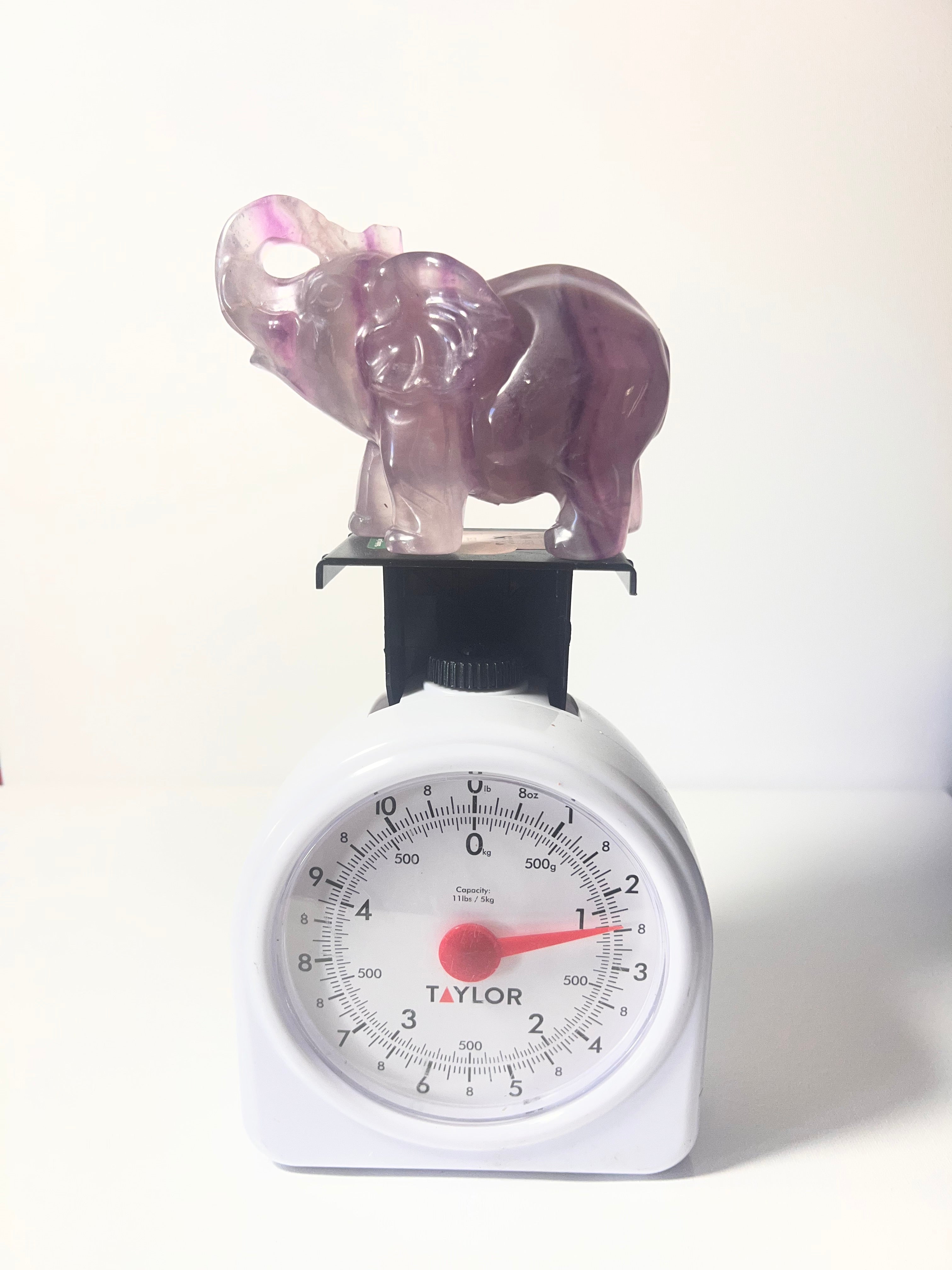 Fluorite Elephant - Stunning Crystal Decor for Positive Energy and Healing